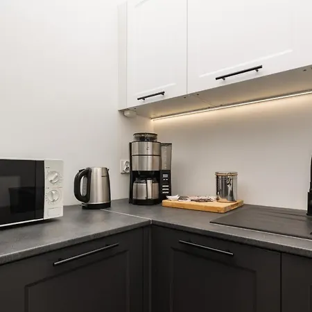 Apartmán Vintage With One Bedroom In By Renters